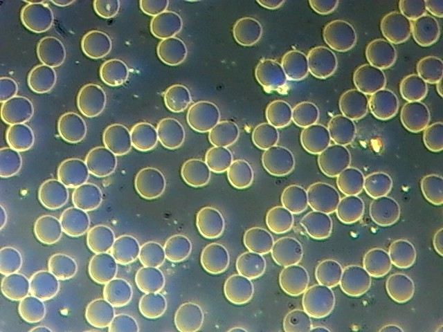 Evaluación del terreno biológico