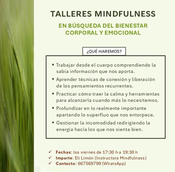 Talleres mensuales de mindfulness (Atención plena)